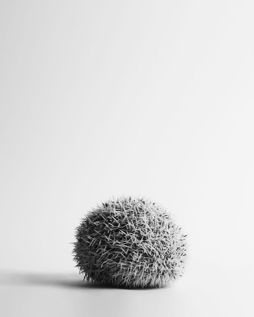 SHAYAN ASGHARNIA - Sam, Hedgehog