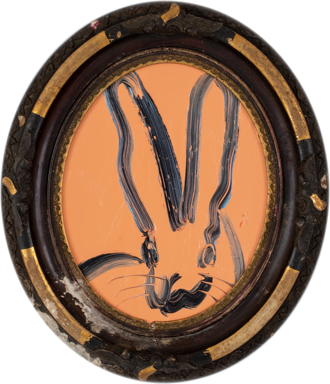 HUNT SLONEM - Untitled, 2019